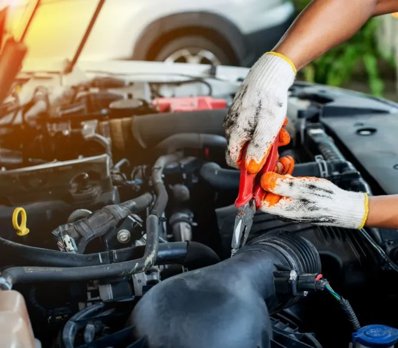 Onderhoud & Reparatie